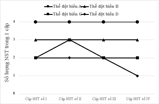 Một loài sinh vật có bộ NST lưỡng bội 2n = 8. Khi phân tích bộ NST của 4 thể đột biến (A, B, C và D) người ta thu được kết quả như biểu đồ hình 3.  (ảnh 1)