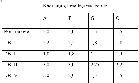 Cho biết khối lượng từng loại nucleotide của một cặp NST bình thường và các dạng đột biến khác nhau (từ I - IV) được ghi lại trong bảng sau. (ảnh 1)