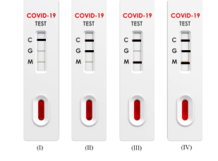 Đồ thịdưới đây mô tả sự thay đổi mức kháng thể của người bị nhiễm SARS-CoV-2. (ảnh 2)