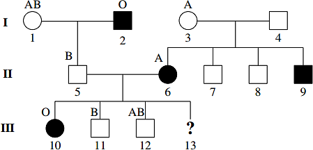 Sơ đồ phả hệ dưới đây mô tả sự di truyền của 1 bệnh ở người do 1 trong 2 allene của một gene quy định (D trội hoàn toàn so với d). Gene (D, d) liên kết với gene quy định tính trạng nhóm máu ABO (ảnh 1)