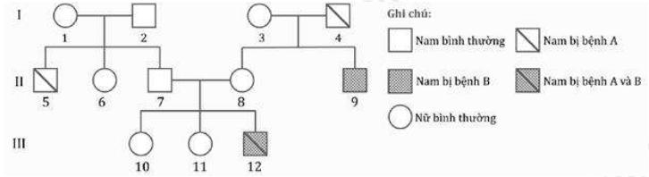 Ở người, bệnh A do 1 gen có 2 alen trên NST thường quy định, alen trội quy không bị bệnh trội hoàn toàn so với alen lặn quy định bị bệnh;  (ảnh 1)