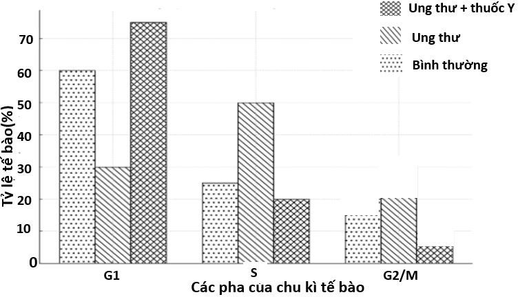 Để tìm hiểu tác dụng của thuốc Y ứng dụng trong điều trị ung thư trực tràng, người ta đo tỷ lệ tế bào (%) ở các pha khác nhau của chu kì tế bào.  (ảnh 1)