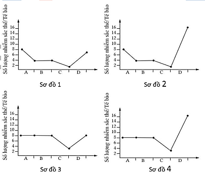 Một tế bào sinh dục sơ khai có bộ NST 2n=8 nguyên phân liên tiếp hai lần sau đó tiến hành giảm phân. Tất cả các tế bào con tạo ra đều tham gia thụ tinh. Sơ đồ nào trong hình dưới đây  (ảnh 1)