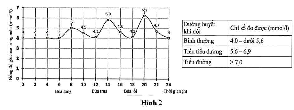 Đo chỉ số đường huyết của một người, thu được kết quả thể hiện qua đồ thị Hình 2.   Chọn phương án trả lời đúng: (ảnh 1)