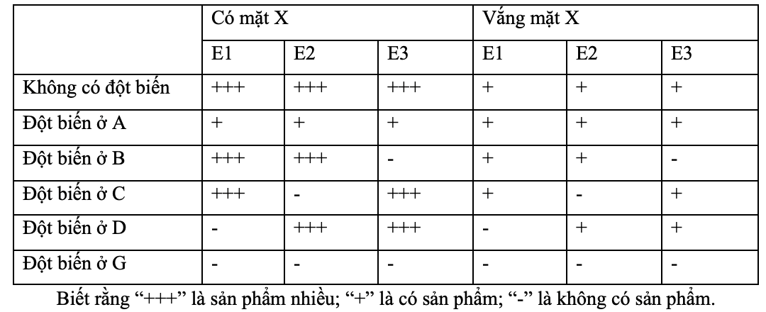 Operon M ở một chủng vi khuẩn mã hóa 3 enzyme là E1, E2 và E3; Có 5 trình tự A, B, C, D và G chưa biết rõ chức năng.  (ảnh 1)