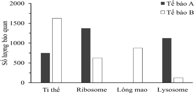 Hai loại tế bào khác nhau (tế bào A và tế bào B) phân lập từ cùng một người được xử lý phá màng tế bào rồi tiến hành ly tâm phân đoạn các thành phần. Kết quả thí nghiệm được thể hiện như hình bên. (ảnh 1)