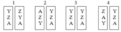 Câu 11.	Trong các hình sau, hình số mấy mô tả đúng trình tự các gene (Y, Z, A) nằm trên cặp NST tương đồng của tế bào sinh dưỡng bình thường?   		A. 1. 	B. 3. 	C. 4. 	D. 2. (ảnh 1)