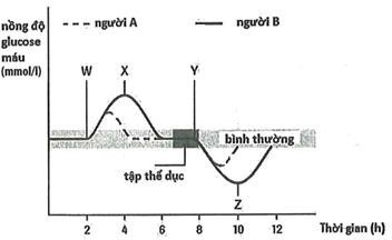 Dữ liệu hình bên phân tích lượng đường trong máu của một người mắc bệnh đái tháo đường và một người không mắc bệnh có cùng khối lượng cơ thể được theo dõi trong khoảng thời gian 12 giờ.  (ảnh 1)