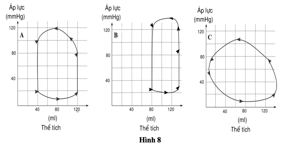 Hình 6 thể hiện sự thay đổi áp lực và thể tích máu trong tâm thất trái ở 3 người (A, B, C) khác nhau.  (ảnh 1)