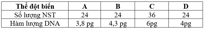 Một loài thực vật có bộ NST 2n = 24 và hàm lượng DNA trong nhân tế bào sinh dưỡng là 4pg. Trong một quần thể của loài này có 4 thể đột biến được kí hiệu là A, B, C và D.  (ảnh 1)