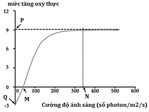 Đồ thị bên mô tả mức tăng lượng oxy thực (µmol/m2/s) trong lá của cây X liên quan đến cường độ ánh sáng.  (ảnh 1)