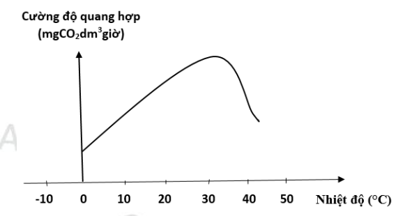 Đồ thị sau đây biểu diễn mối liên quan giữa quang hợp ở một loài thực vật và nhiệt độ. Dựa vào đồ thị cho biết kết luận nào sau đây đúng? (ảnh 1)