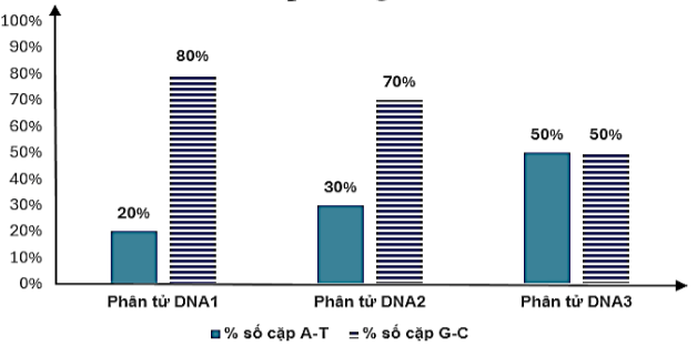 Hình bên mô tả tỷ lệ % số lượng cặp A - T và G - C trong 3 phân tử DNA có tổng số nucleotide bằng nhau. Hãy cho biết nhận định nào đúng? (ảnh 1)