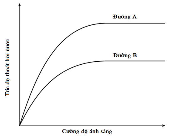Đồ thị sau đây thể hiện ảnh hưởng của cường độ ánh sáng tới tốc độ thoát hơi nước từ biểu bì trên và biểu bì dưới của lá ở một loài cây trên cạn. Các nhân tố môi trường khác được giữ ổn định. (ảnh 1)