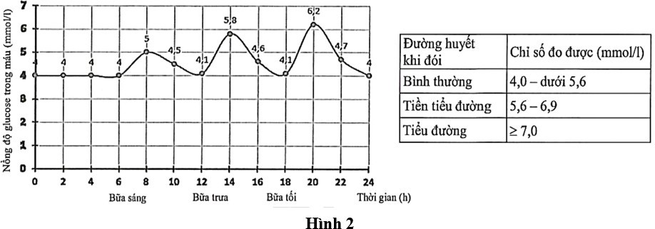 Khi tiến hành đo chỉ số đường huyết của bác X ở các thời điểm khác nhau trong ngày, các kĩ thuật viên đã thu được kết quả thể hiện qua đồ thị Hình 2. (ảnh 1)