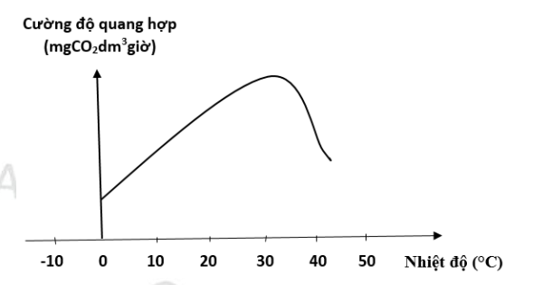 Đồ thị sau đây biểu diễn mối liên quan giữa quang hợp ở một loài thực vật và nhiệt độ. Dựa vào đồ thị cho biết kết luận nào sau đây đúng? (ảnh 1)