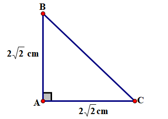 Cho đường tròn \(({\rm{O}})\) n (ảnh 1)