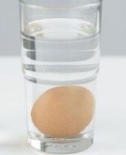 Người ta thả một quả trứng vào một cốc thủy tinh có nước, hình trụ; thấy trứng chìm hoàn toàn xuống đáy và nằm ngang thì chứng tỏ quả trứng đó còn tươi, mới được để từ một đến hai ngày. (ảnh 1)