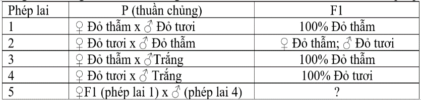 Ở ruồi giấm, khi nghiên cứu tính trạng màu mắt, các nhà khoa học thực hiện các phép lai sau: Tỷ lệ kiểu hình ở phép lai 5 là: (ảnh 1)