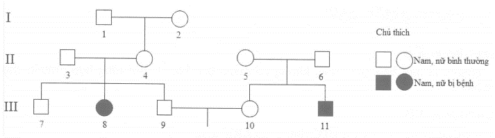 Phả hệ dưới đây mô tả một bệnh di truyền ở người do một trong hai alen của một gen quy định. Nhận xét nào đúng- nhận xét nào sai? (ảnh 1)