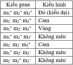 Nghiên cứu con đường tổng hợp sắc tố ở một loài vi khuẩn, người ta thấy vi khuẩn kiểu dại có màu đỏ. Các chủng đột biến có các màu sắc khác nhau liên quan đến các gene tổng hợp enzyme xúc tác cho con đường chuyển hóa được thể hiện ở bảng bên (ảnh 1)