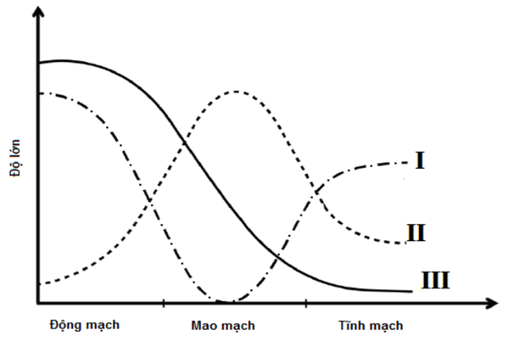 Quan sát biểu đồ bên dưới Nhận xét nào sau đây sai? (ảnh 1)