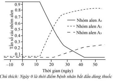 Chủng virus X kí sinh và gây bệnh ở người được nhân lên trong tế bào chủ nhờ nhiều loại protein, trong đó có 3 loại protease lần lượt được mã hóa bởi 3 allele: (ảnh 1)
