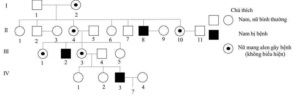Phả hệ sau mô tả về sự di truyền của một bệnh trong gia đình qua 4 thế hệ. Bệnh được xác nhận do một gene chi phối.  (ảnh 1)