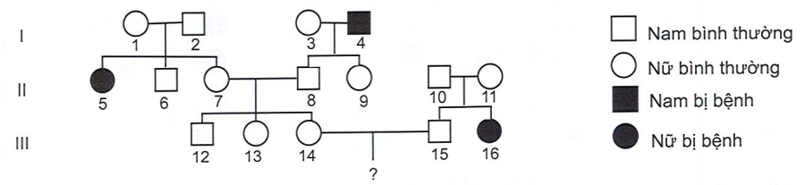 Sơ đồ phả hệ dưới đây mô tả sự di truyền của một tính trạng trong một gia đình. Biết rằng bệnh này do một trong hai allele của một gene quy định và không phát sinh đột biến mới ở tất cả những người trong phả hệ. (ảnh 1)
