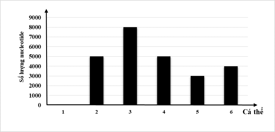 Ở một loài động vật, xét 2 gene, mỗi gene gồm 2 alelle (A, a và B, b) nằm trên 2 cặp nhiễm sắc thể thường khác nhau, biết alelle A có tổng số nucleotide là 3 000, (ảnh 1)