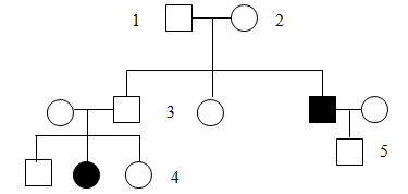 Gene b gây chứng phenylceton niệu về phương diện di truyền đây là bệnh gây ra do rối loạn sự chuyển hóa phenylalanine. (ảnh 1)
