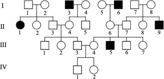 Một bệnh ở người do một trong hai allele của gene quy định. Theo dõi những người trong dòng họ qua 4 thế hệ và được thể hiện qua sơ đồ phả hệ dưới đây:     Xác suất để đứa con trai thứ nhất ở thế hệ IV  (ảnh 1)