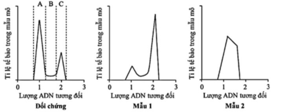 Thí nghiệm được thực hiện để tìm hiểu tác dụng ức chế chu kì tế bào của hai loại thuốc X và Y ứng dụng để điều trị ung thư trực tràng.  (ảnh 1)