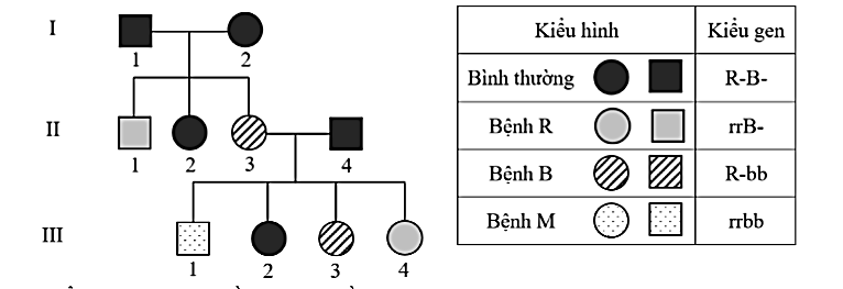 Khi nghiên cứu về 1 số bệnh di truyền ở người, người ta ghi nhận được thông tin như sau: (ảnh 1)