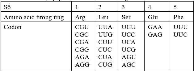 Mối quan hệ giữa gene- mRNA- peptide trong vùng mã hoá ở sinh vật nhân sơ được mô tả như sau: (Kí hiệu  là một loại nucleotide không được cho biết) (ảnh 2)