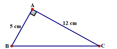 Gọi O là trung điểm của cạnh huy (ảnh 1)