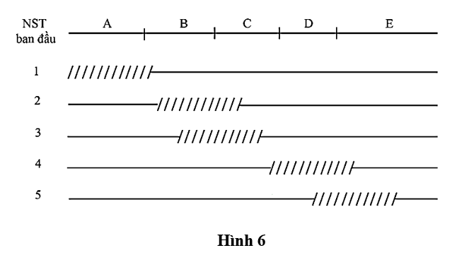 Các trình tự một operon ở vi khuẩn E.coli nằm trong đoạn NST được kí hiệu từ A đến E. Để xác định các trình tự của operon này, người ta sử dụng 5 trường hợp đột biến mất đoạn như Hình 6 (ảnh 1)