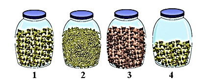 Để phát hiện hô hấp ở thực vật, một nhóm học sinh đã tiến hành thí nghiệm như sau: Dùng 4 bình cách nhiệt giống nhau đánh số thứ tự 1, 2, 3, 4 (ảnh 1)