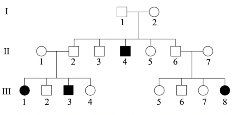 Giả sử rằng hai sắc tố đỏ và xanh lam trộn lẫn để tạo thành màu tím bình thường và màu xanh lam pha với màu vàng tạo nên màu xanh lục của cánh hoa dạ yến thảo. (ảnh 2)