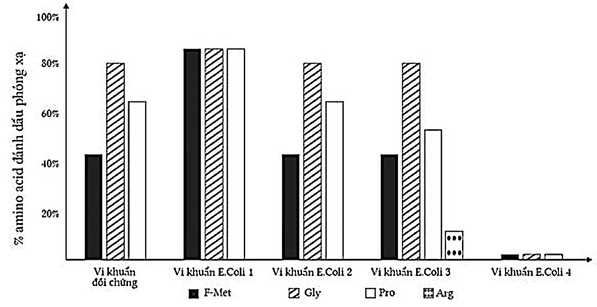Để kiểm tra ảnh hưởng của đột biến gene ở vi khuẩn E. Coli, các nhà khoa học đã tạo ra các chủng đột biến từ chủng dại ban đầu.  (ảnh 1)