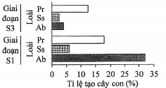 Quá trình hình thành rừng từ các cồn (đồi) cát trong tự nhiên gồm 3 giai đoạn với các loài thực vật phổ biến gồm loài cỏ Ab, loài cây gỗ Pr và loài cỏ Ss.  (ảnh 1)