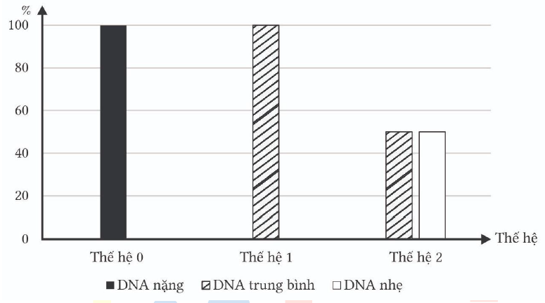 Để chứng minh hiện tượng bán bảo toàn trong quá trình nhân đôi DNA các nhà khoa học đã nuôi cấy DNA của vi khuẩn E.coli và đo được tỷ trọng DNA  (ảnh 1)