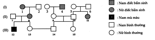 Ở vi khuẩn E.coli, giả sử có 4 chủng mang đột biến liên quan đến operon lac. Các đột biến này được mô tả trong bảng sau. (ảnh 1)