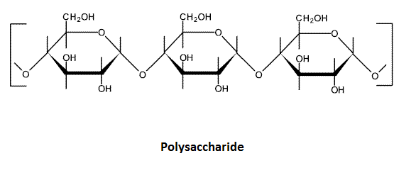Trong cấu trúc của polisaccharide, các đơn phân được liên kết với nhau bằng loại liên kết  (ảnh 1)