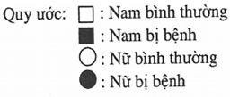 Một bệnh ở người do một trong hai allele của gene quy định. Theo dõi những người trong dòng họ qua 4 thế hệ và được thể hiện qua sơ đồ phả hệ dưới đây:     Xác suất để đứa con trai thứ nhất ở thế hệ IV  (ảnh 2)