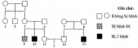 Câu 27:	SPhả hệ sau đây mô tả sự di truyền bệnh M và bệnh N đều được quy định bởi các gene cùng nằm ở vùng không tương đồng trên nhiễm sắc thể giới tính X và cách nhau 16 cM (ảnh 1)