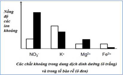 Câu 20.	Nghiên cứu vai trò của các nguyên tố dinh dưỡng khoáng đối với sự phát triển của một loài cây thân thảo ở cạn, sau 20 ngày theo dõi thí nghiệm, từ số liệu thu được, người ta đã xây dựng được biểu đồ Hình 7. (ảnh 1)