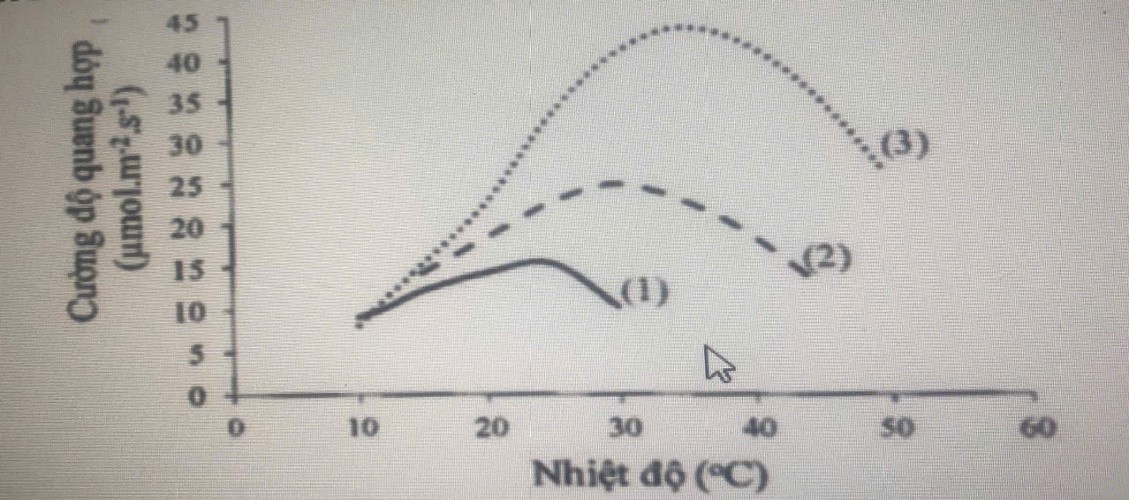 Mối quan hệ giữa cường độ quang hợp v&agrave; nhiệt độ được minh họa trong h&igrave;nh dưới đ&acirc;y. Trong đ&oacute;, cường độ quang hợp được t&iacute;nh theo h&agrave;m lượng CO2 c&acirc;y hấp thụ (đo tại thời điểm hấp thụ). (ảnh 1)