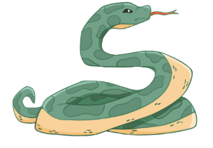 Order the letters. There is one example.    k e n s a (ảnh 1)