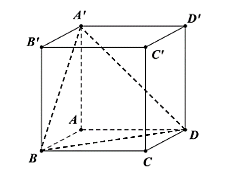 Điều kiện: \(x > 0\). Ta có \(\log _2^2x - {\lo (ảnh 1)